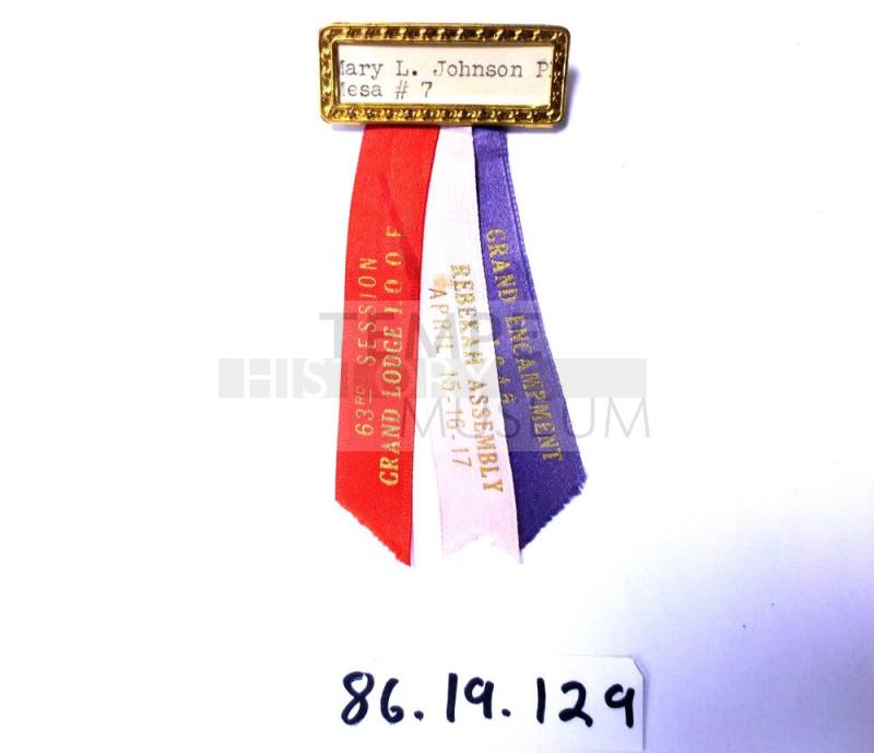 Mary L. Johnson pin
