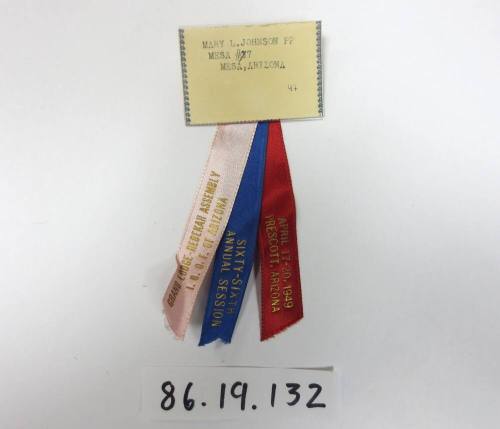 Mary L Johnson Pin