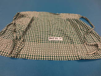 Checkered Apron
