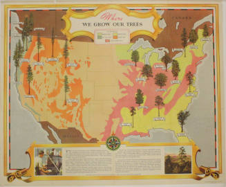 Map- Where We Grow Our Trees