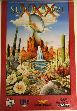 Poster - Superbowl XXX