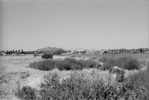 Desert Landscape and A Mountain