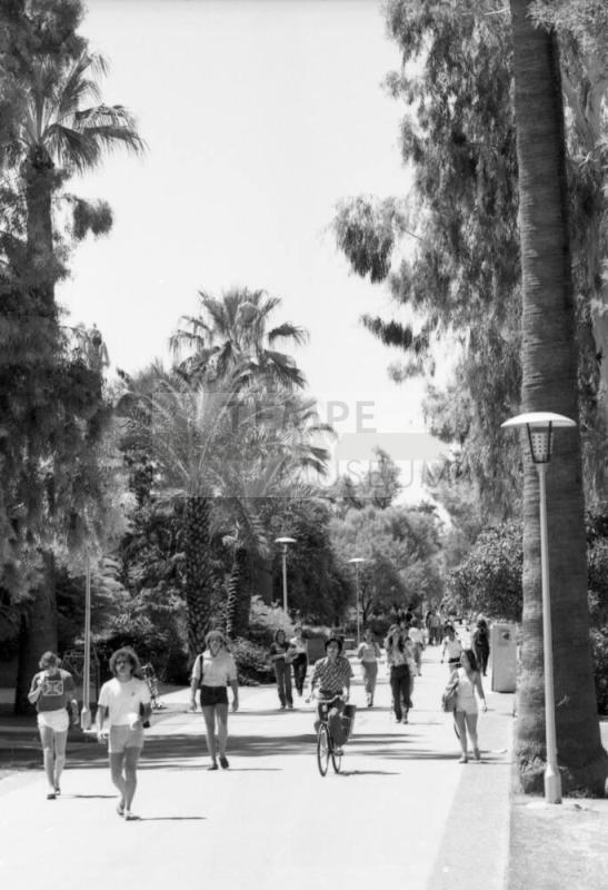 ASU Campus Walkway