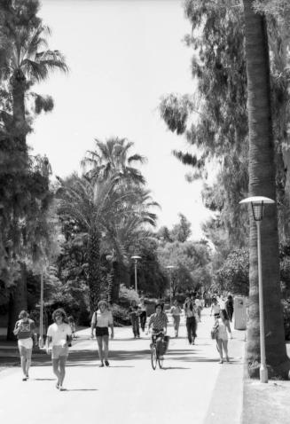 ASU Campus Walkway