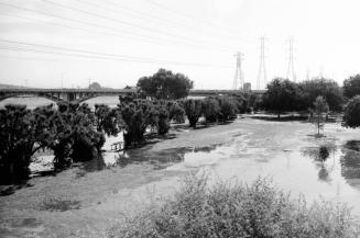 Tempe Beach Park irrigation