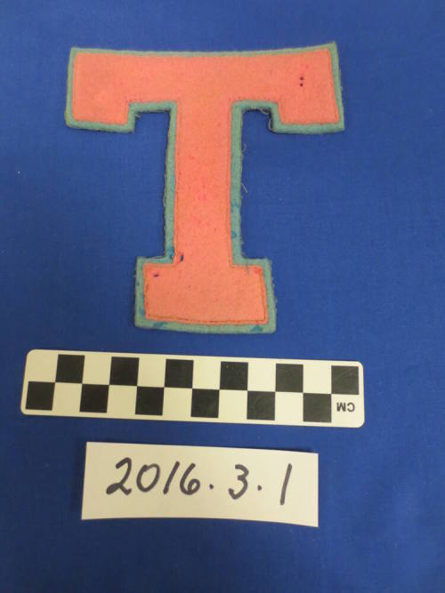 Tempe Union High School Letter Patch