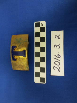 Tempe Union High School Belt Buckle