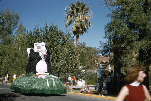 Float in Arizona State University Homecoming Parade 1955