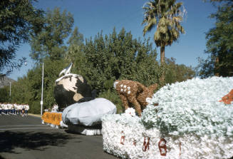 Float in Arizona State University Homecoming Parade 1955