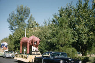 Float in Arizona State Univertisty Homecoming Parade 1956