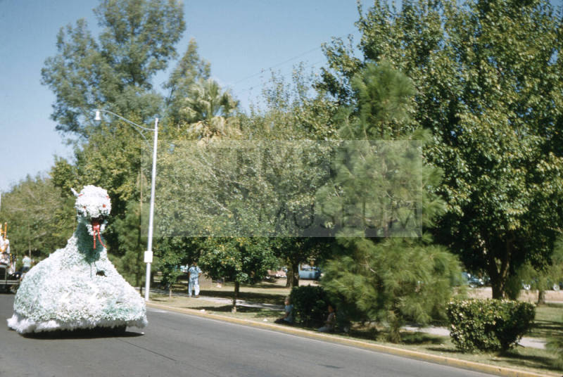 Float in Arizona State University Homecoming Parade 1956