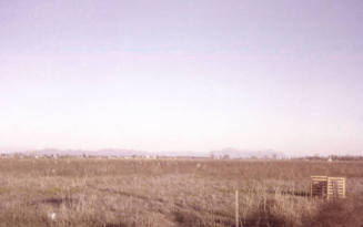Superstition Mountain from McClintock and Broadway Road