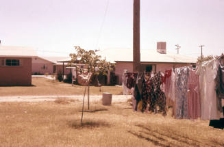 Phillips Family Laundry Hanging on a Line in a Yard