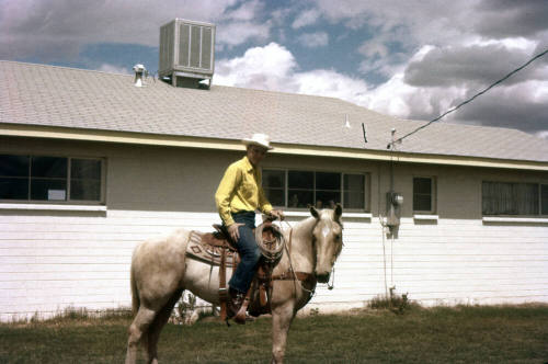 David Phillips on Horse Named Lady