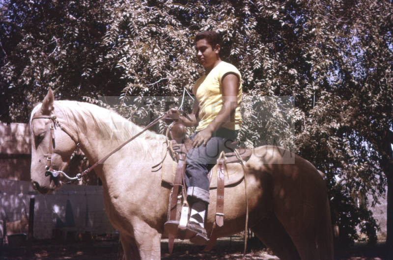 Gilbert Gonzales on Horse Names Lady