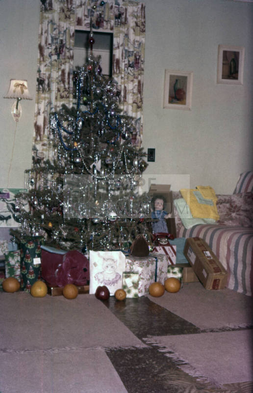 Phillips Family Christmas Tree 1955