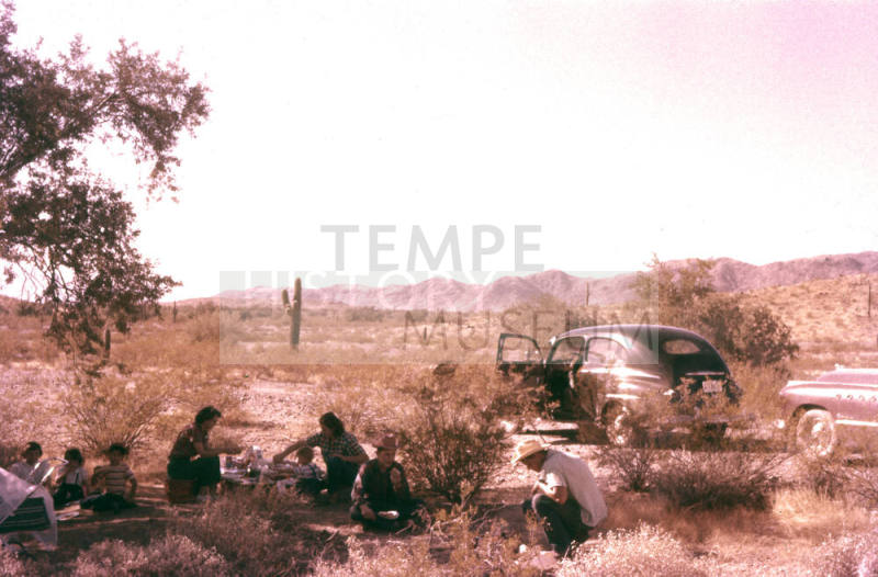 Picnic in the Desert