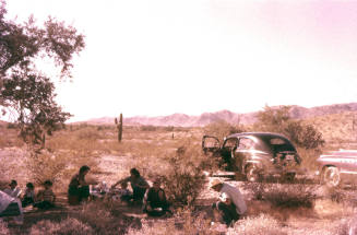 Picnic in the Desert