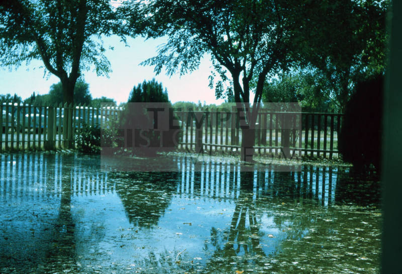 Phillips Family Front Yard Irrigation