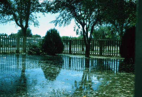 Phillips Family Front Yard Irrigation