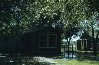 Phillips Family Back Yard Irrigation