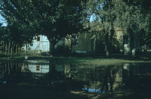 Back Yard Irrigation