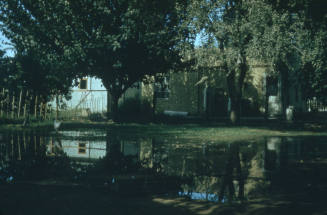 Back Yard Irrigation