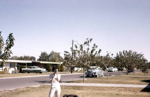 "Lois" in a Yard in Tempe