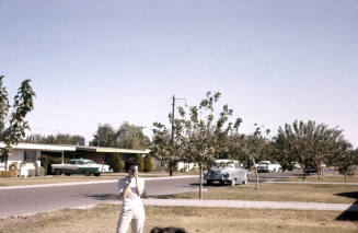 "Lois" in a Yard in Tempe