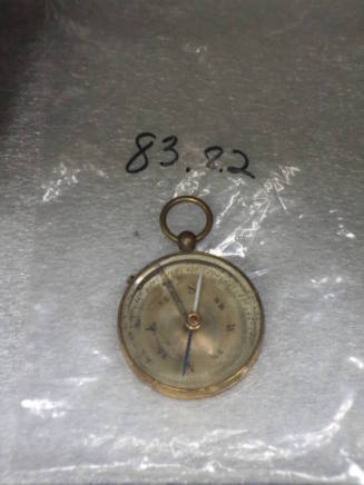 Magnetic compass