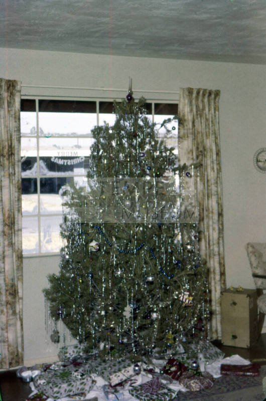 Family Christmas Tree