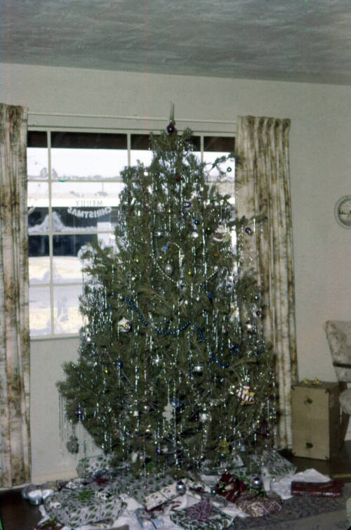 Family Christmas Tree