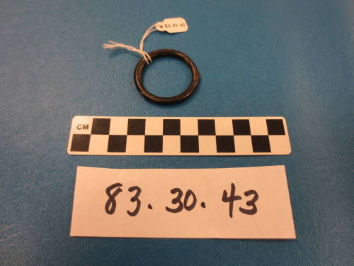 Harness Ring