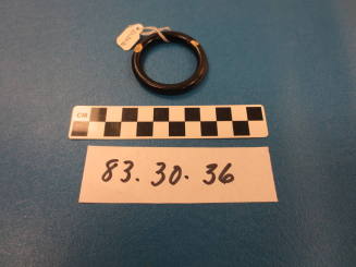Harness Ring