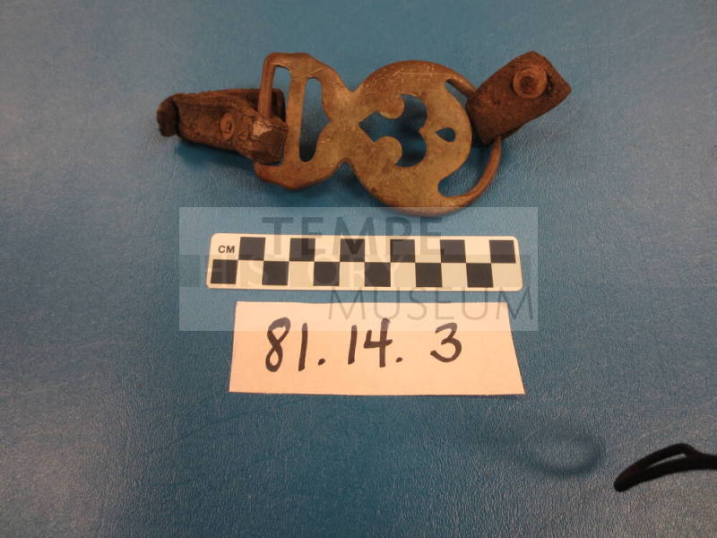 Harness Fragment