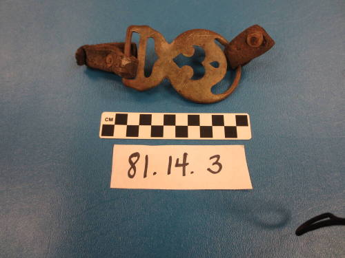 Harness Fragment