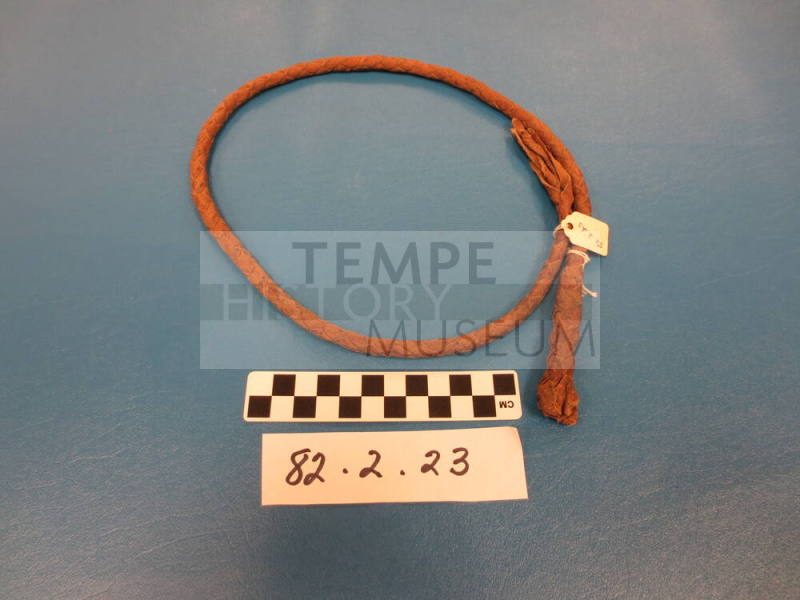 Whip Fragment