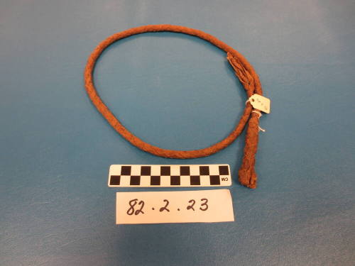 Whip Fragment