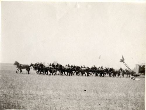 Mule Team Train Haulers