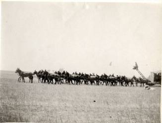 Mule Team Train Haulers