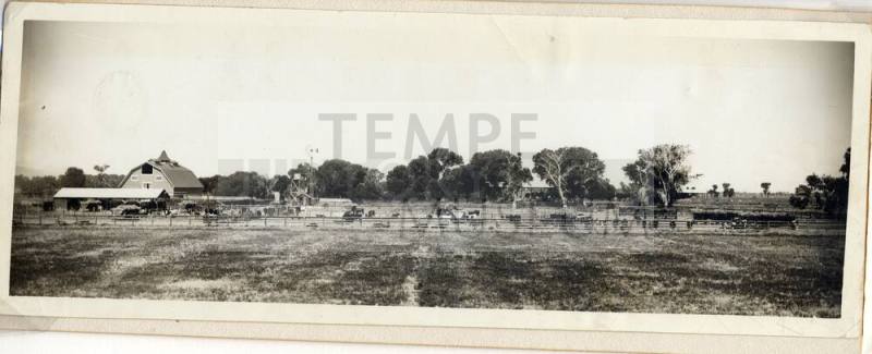 Farm in the Kyrene Area