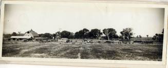 Farm in the Kyrene Area