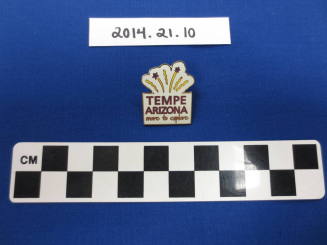 Lapel pin, Tempe, Arizona: More to Explore