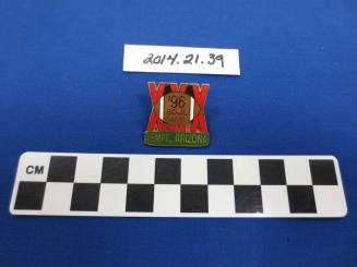Lapel pin, 1996 Superbowl