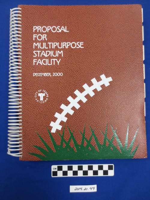 Proposal for Multi-Purpose Stadium facility
