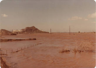Salt River in Flood, March 1978