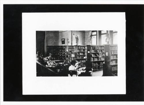 Students Working in Library
