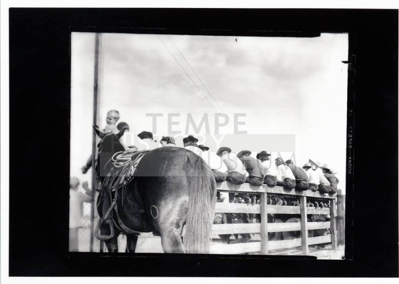 Men Sitting on a Fence