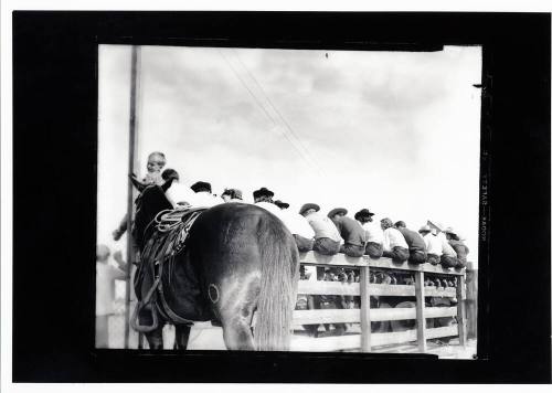 Men Sitting on a Fence