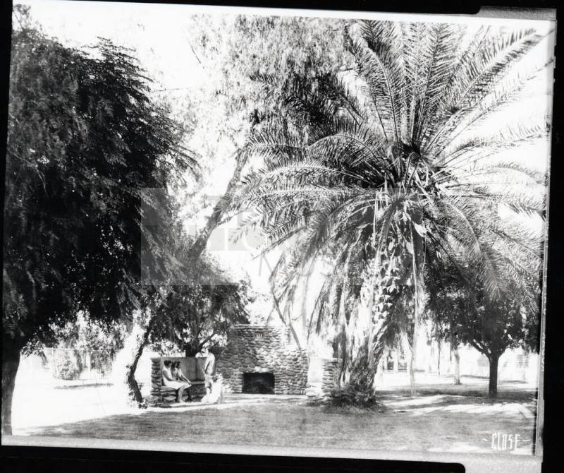 Ladies Sitting in a Park
